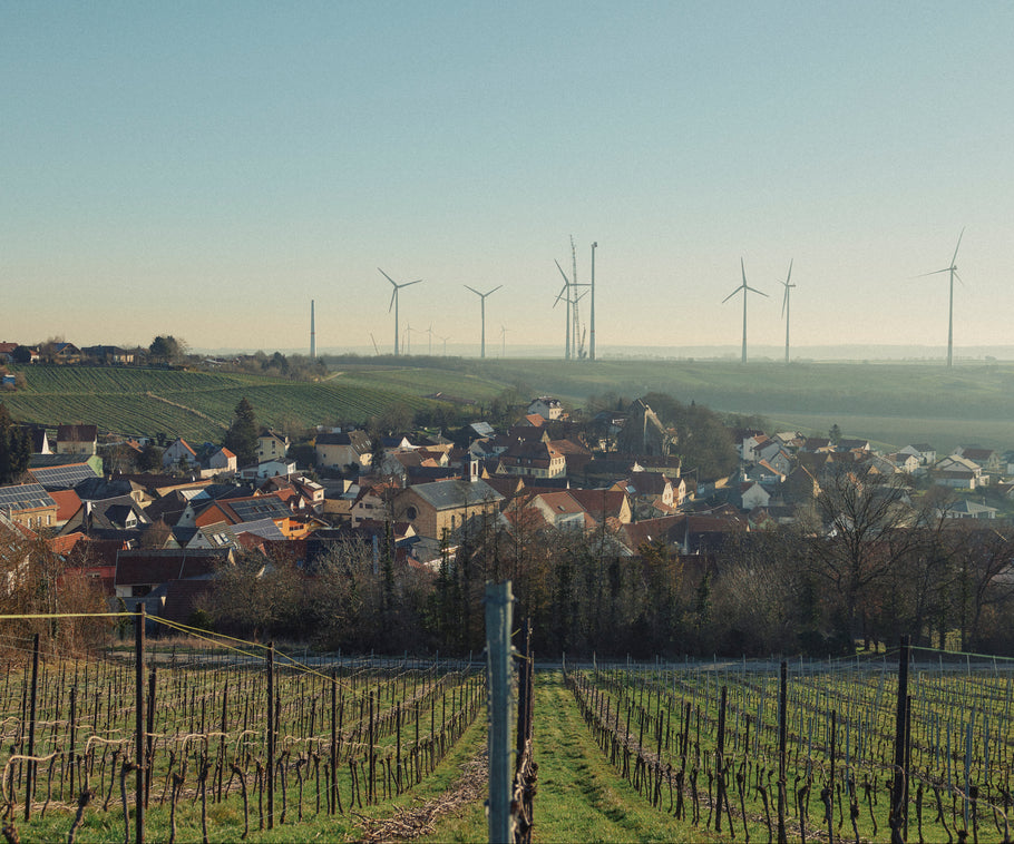 Wusstest du schon? - Die Rheinhessen Edition