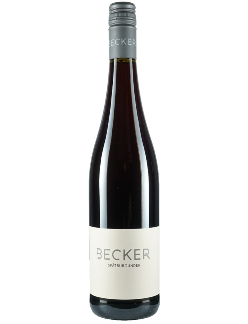 2022 Spätburgunder trocken