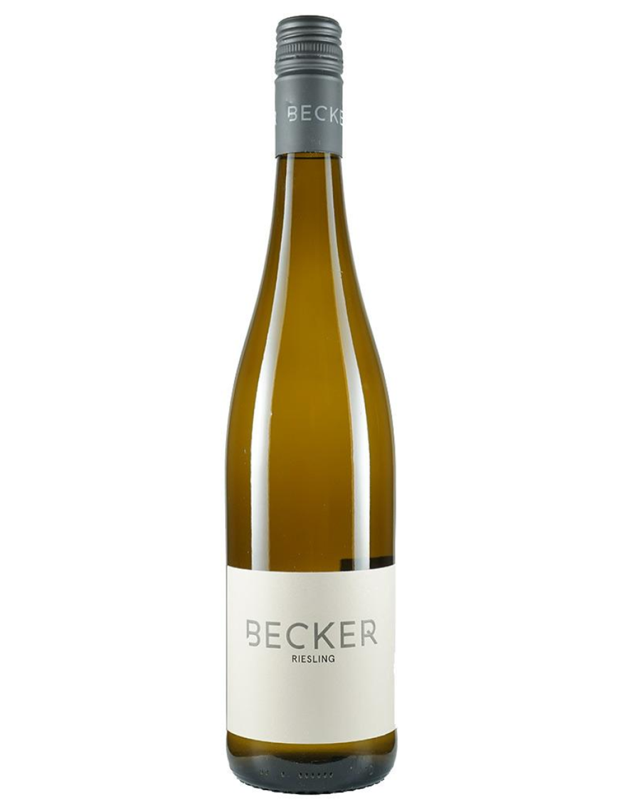 2025 Riesling trocken BIO