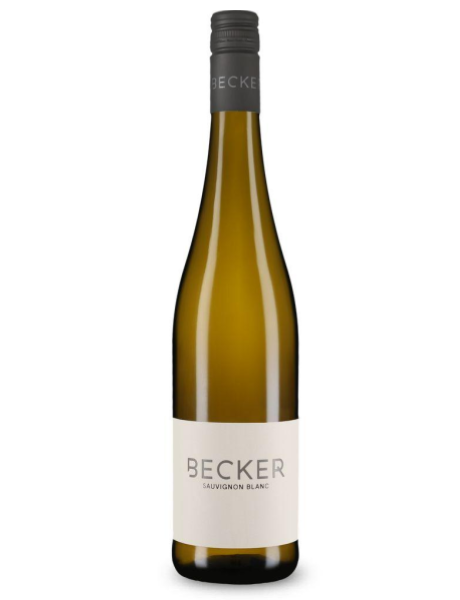 2025 Sauvignon Blanc trocken BIO