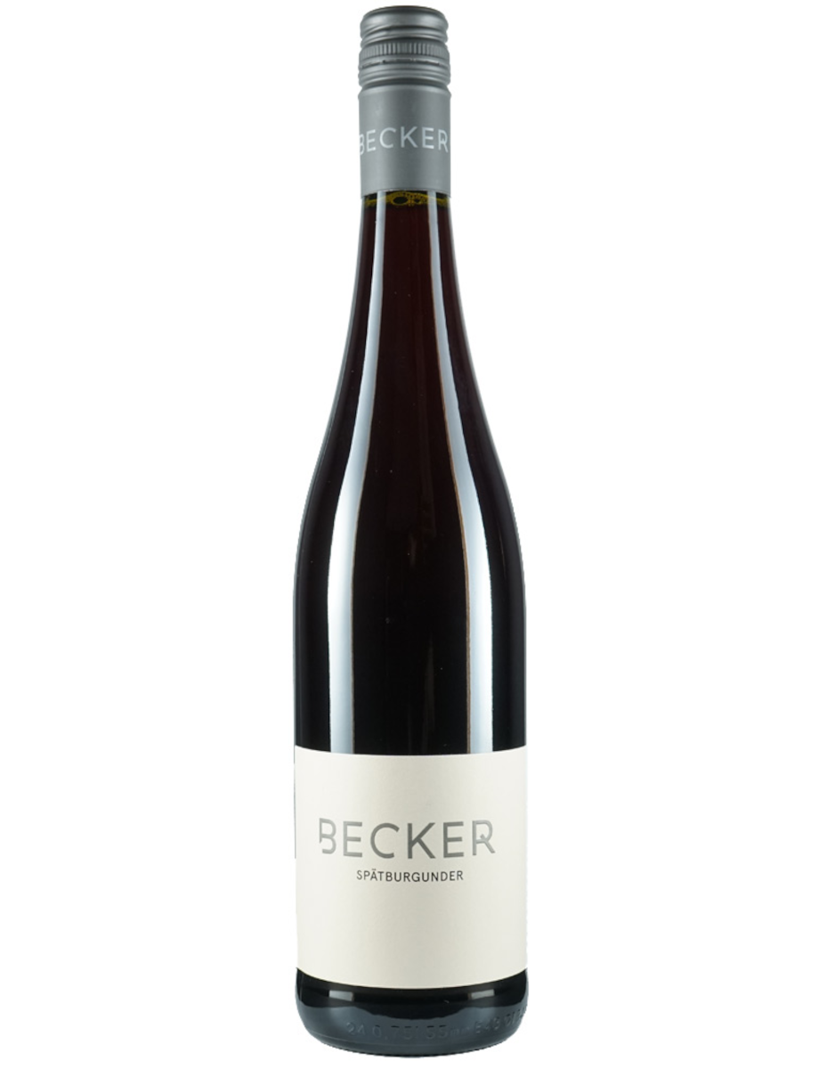 2023 Spätburgunder trocken